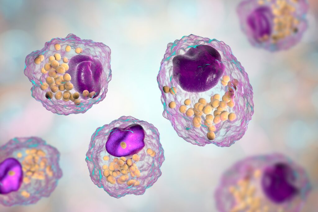 Θεραπεία με μακροφάγα κύτταρα το μέλλον για εμβόλιο κατά του καρκίνου