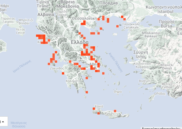 είδη μέδουσας στην Ελλάδα