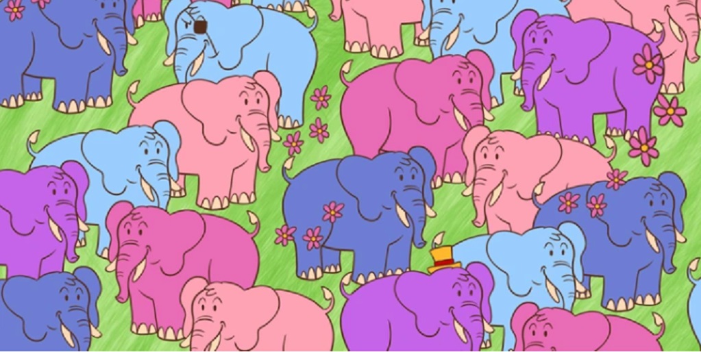 ελέφαντες