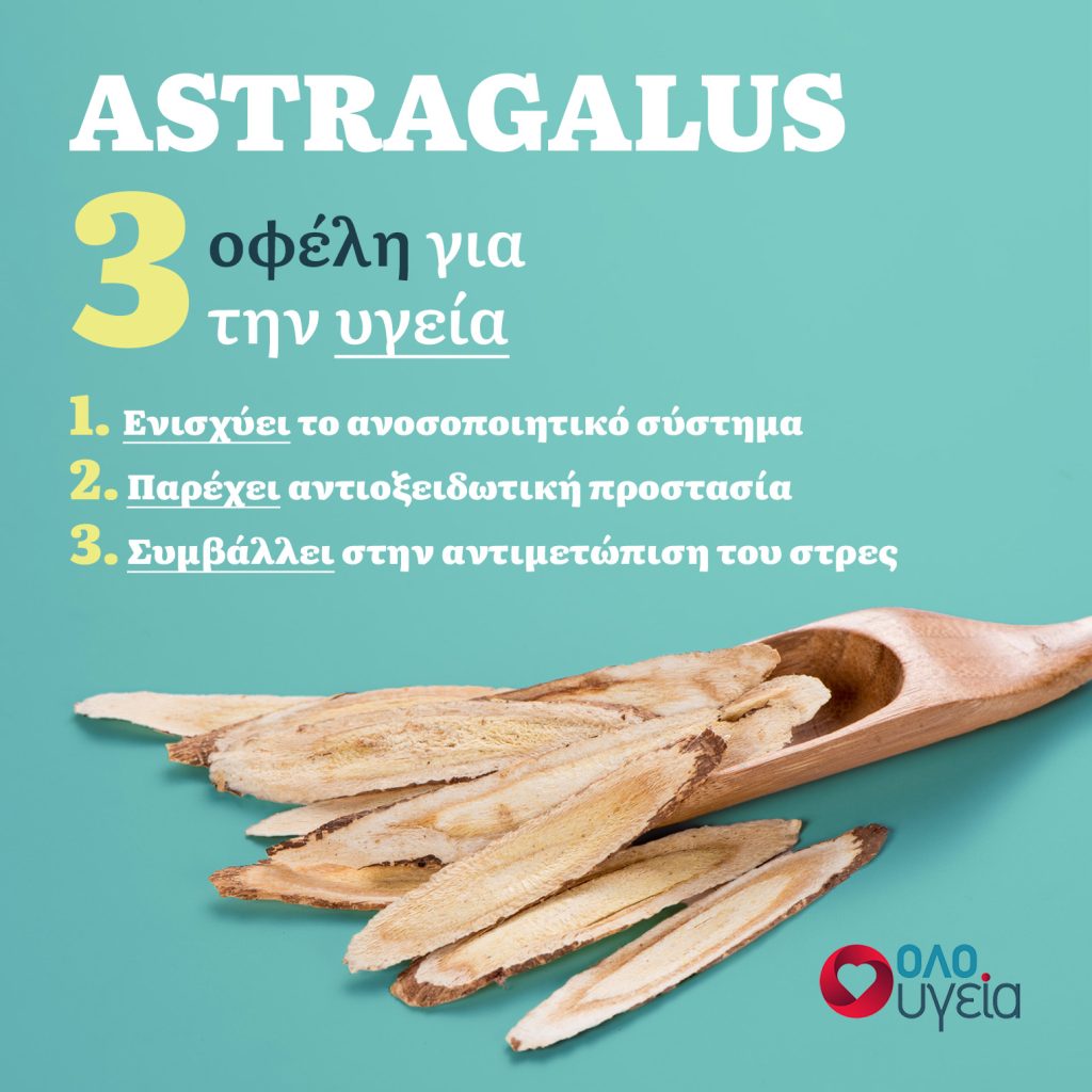 3 benefits of astragalus - infographic by oloygeia.gr