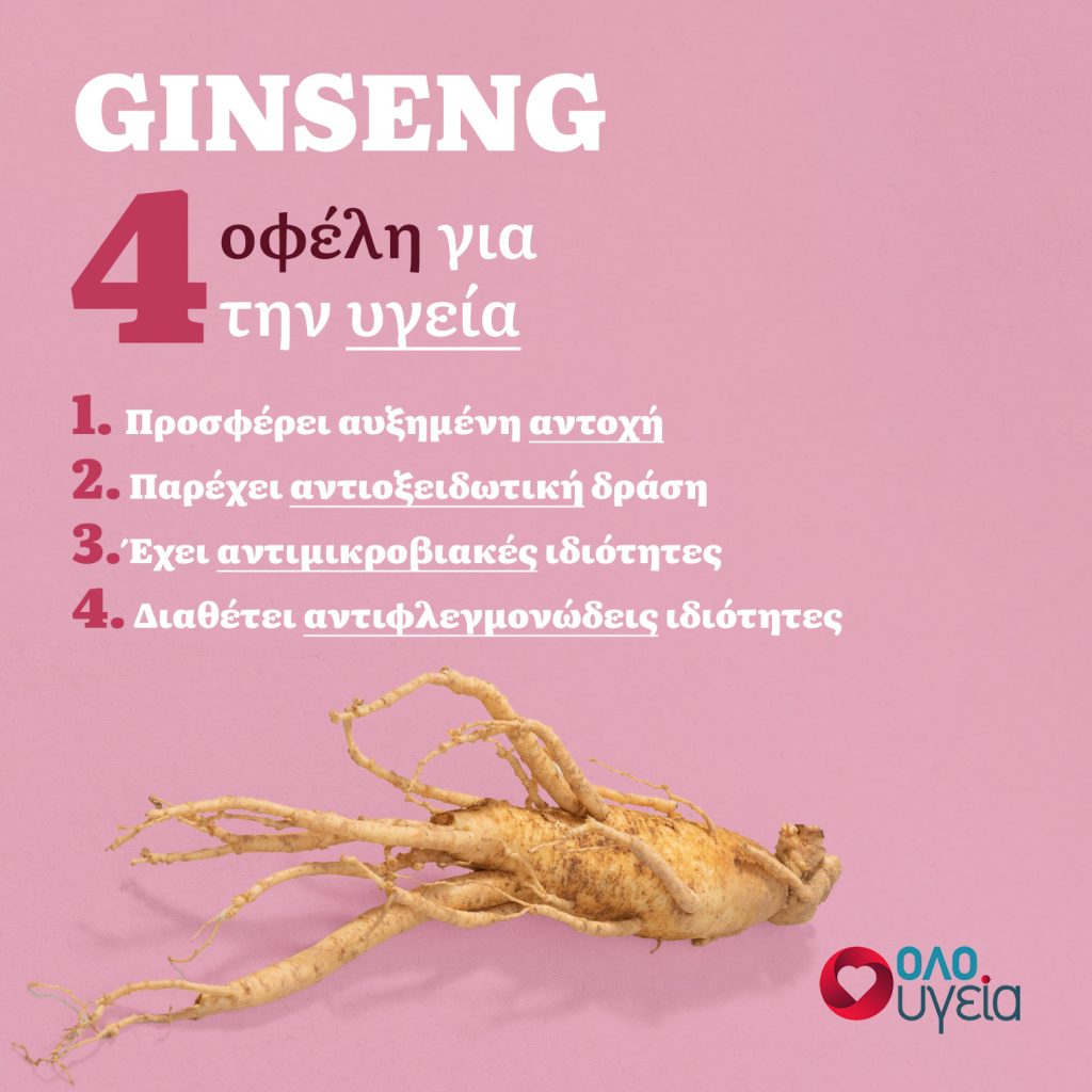 4 benefits of ginseng - infographic by oloygeia.gr