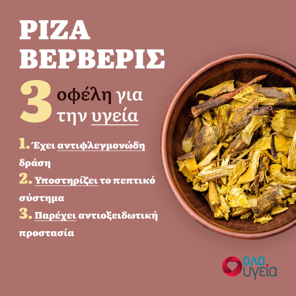 3 benefits of barberry root - infographic by oloygeia.gr
