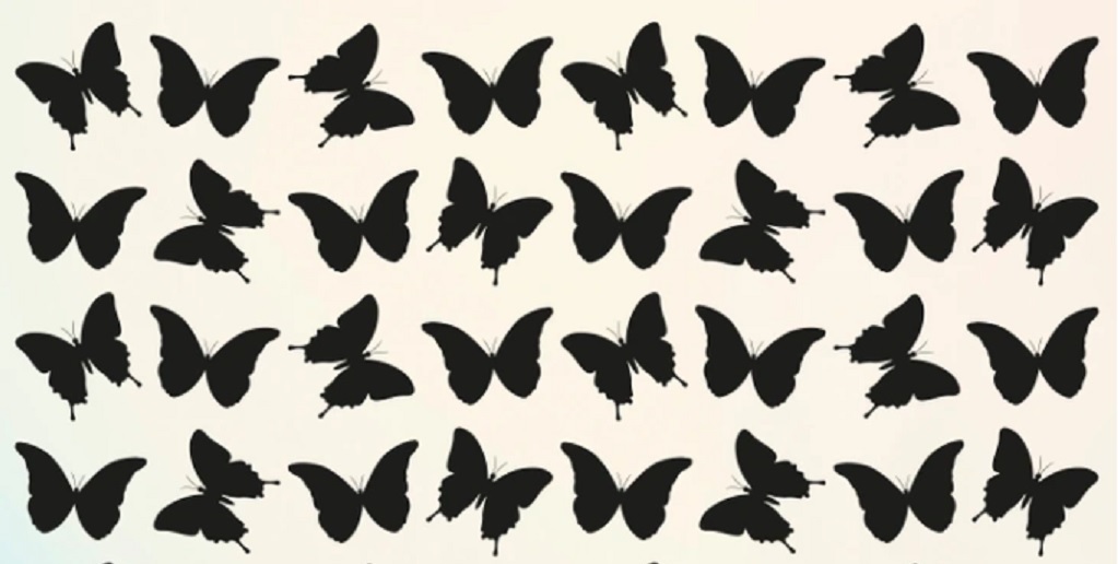 Τεστ οπτικής ψευδαίσθησης: Μόνο το 1% των ανθρώπων μπορεί να βρει τη διαφορετική πεταλούδα – Είστε τόσο οξυδερκείς;