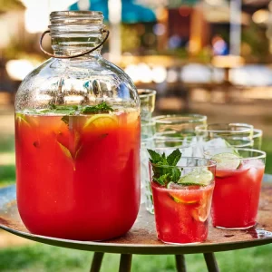 tequila-watermelon-aguas-frescas-with-prosecco